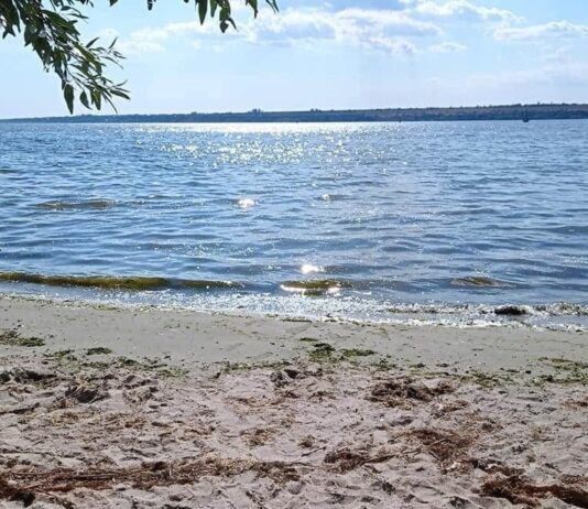 В Николаеве пляж «Маяк» завалили бытовым и строительным мусором