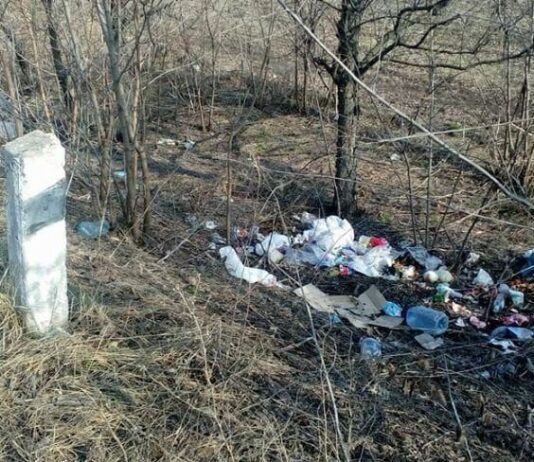 Сбитые животные и шины, вросшие в деревья: николаевец пожаловался на грязные окраины города