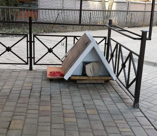 На улицах Николаева появились домики для кошек