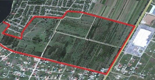 Николаевцев зовут посадить миллион деревьев за сутки