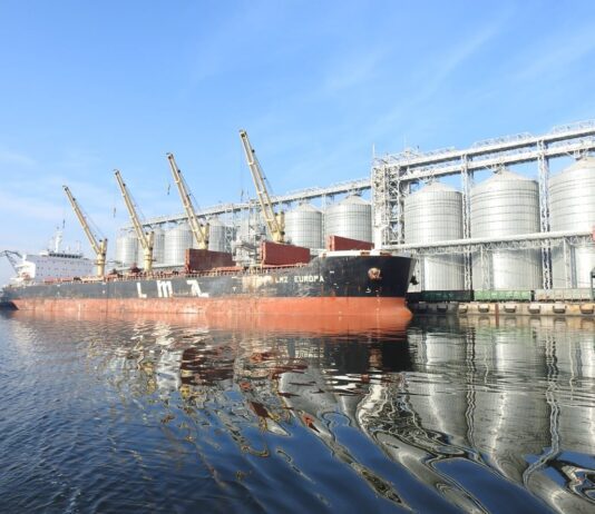 Николаевцы жалуются вонь, антисанитарию и разбитые дороги у Морпорта и Нефтебазы