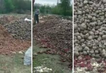 Овощная свалка: под Николаевом выбросили десятки тонн продуктов
