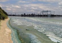 В Николаеве побережье реки посинело от неизвестной пены и грязи