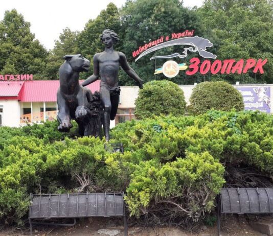 В Николаевском зоопарке взялись развивать сенсорику шимпанзе