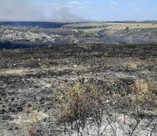 «Люди, опомнитесь!», — на Николаевщине из-за умышленного поджога выгорело 200 га земли