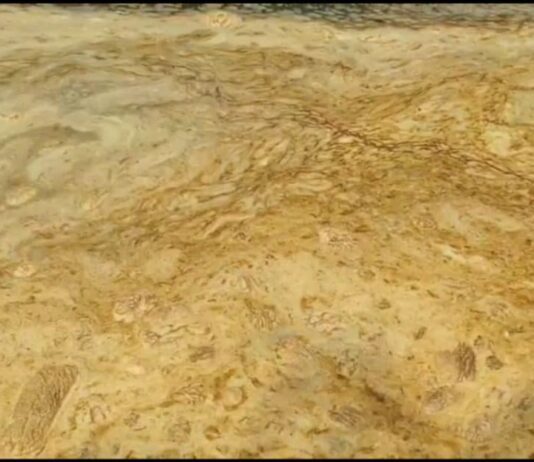 Похоже на утечку горюче-смазочных материалов: николаевцы бьют тревогу из-за загрязнения Ингула