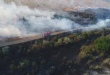 На Николаевщине снова пришлось тушить масштабный пожар в заповеднике