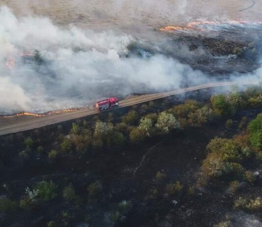 На Николаевщине снова пришлось тушить масштабный пожар в заповеднике