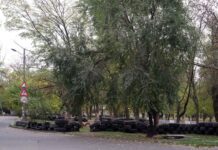 В николаевском парке собачники обустроили «баррикады» из шин