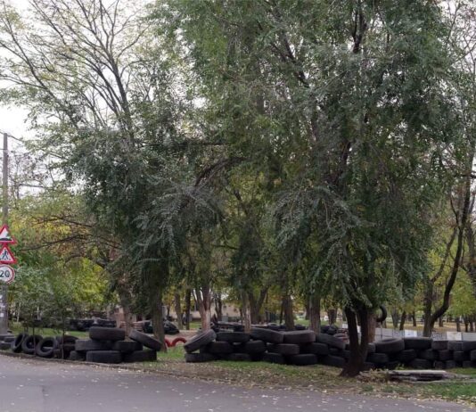 В николаевском парке собачники обустроили «баррикады» из шин