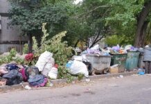 Николаевцы массово жалуются на стихийные свалки возле жилых домов