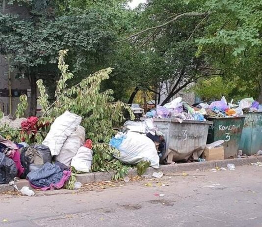 Миколаївці масово скаржаться на стихійні звалища біля житлових будинків