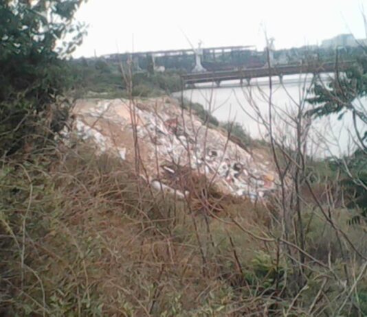 В Николаеве неизвестные вывалили целый грузовик мусора на берегу Ингула