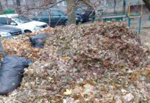 Новый год на носу, а в Николаеве коммунальщики до сих пор не убрали опавшие листья