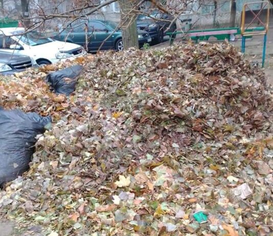 Новый год на носу, а в Николаеве коммунальщики до сих пор не убрали опавшие листья
