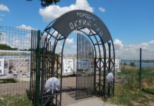 Николаевцев приглашают воочию оценить городище Дикий Сад