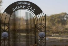 Что покажут и расскажут в Диком Саду?