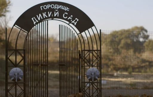 Что покажут и расскажут в Диком Саду?