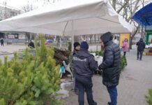 В Николаеве проверили законность точек продажи елок