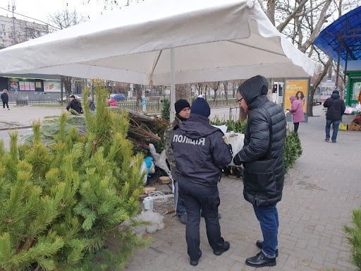 В Николаеве проверили законность точек продажи елок