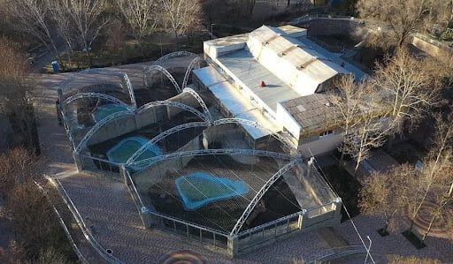 На «Остров зверей» в Николаевском зоопарке потратят еще 5 миллионов гривен