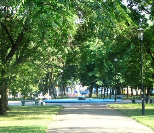 В Николаеве на содержание парков одного из районов потратят 23 миллиона гривен