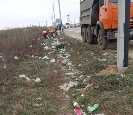 «Горы пластика и хлама»: в САД Николаевщины показали, как выглядят обочины трассы на Кропивницкий