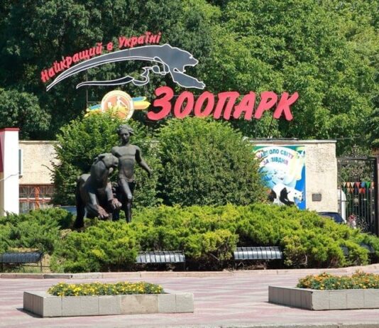 «Ежик Белоснежка и семеро соседей»: в Николаевском зоопарке рассказали о том, каких питомцев можно держать дома