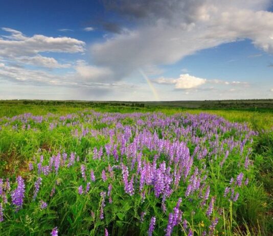 ТОП Заповедников Николаевской области