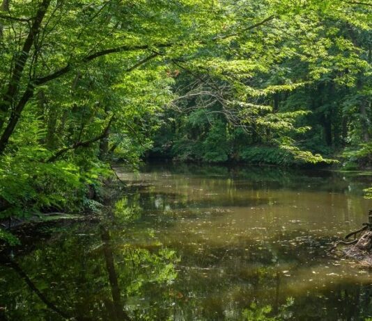 ТОП колоритных сел Николаевской области