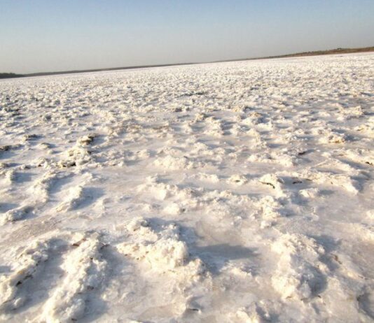Добыча соли в Николаевской области