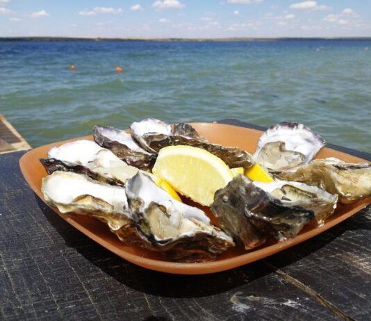 ТОП самых интересных ферм Николаевщины