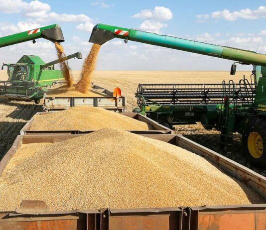 Урожайный год Николаевщины