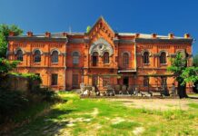 Невідома історія “життя” Миколаївського обласного краєзнавчого музею