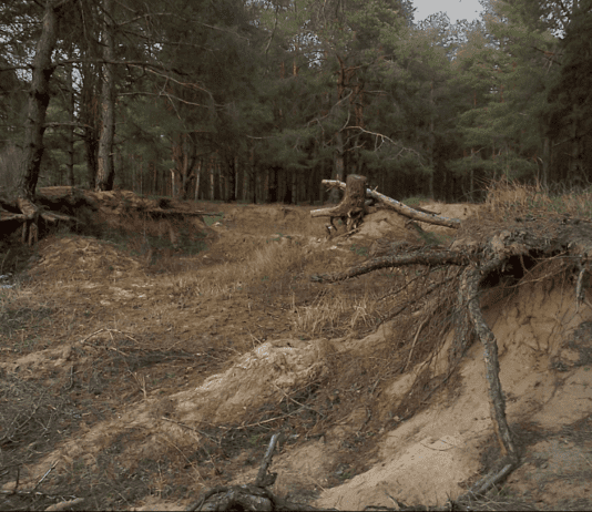 Разработка песка в Николаевской области
