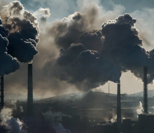 Николаевцы на страже чистоты воздуха