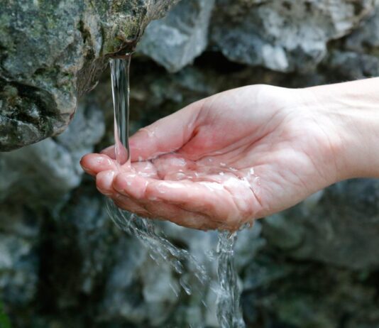 Почему в Николаевской области не разрабатывают источники минеральных вод?