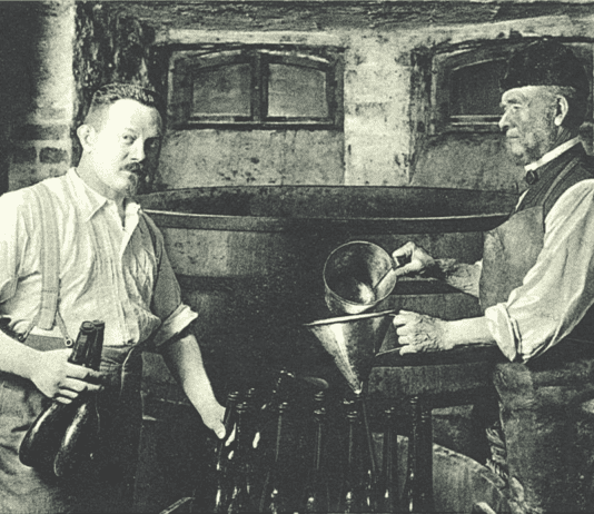 Увлекательная история и последствия варки пива в Николаеве