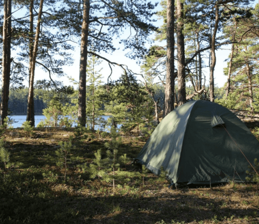 Масштабні плани розвитку зеленого туризму Миколаївщини