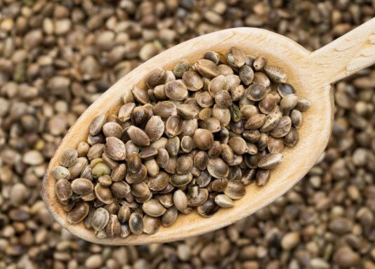 Вкусно и полезно: блюда из семян конопли