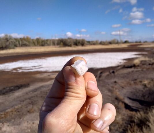 История добычи полезных ископаемых в Николаевской области: от глубины веков до современности