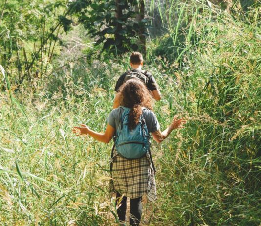 Балабановский лес, или наследие Николаевщины