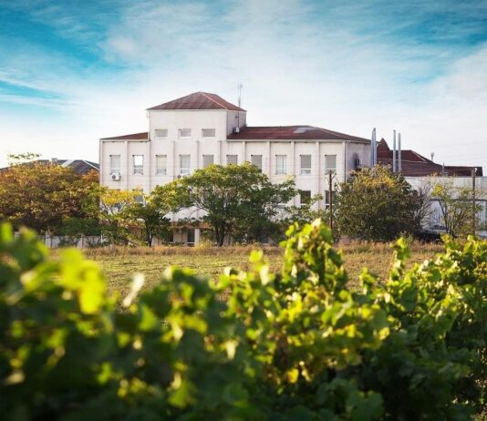 История винодельни «Коблево»: от истоков до современности