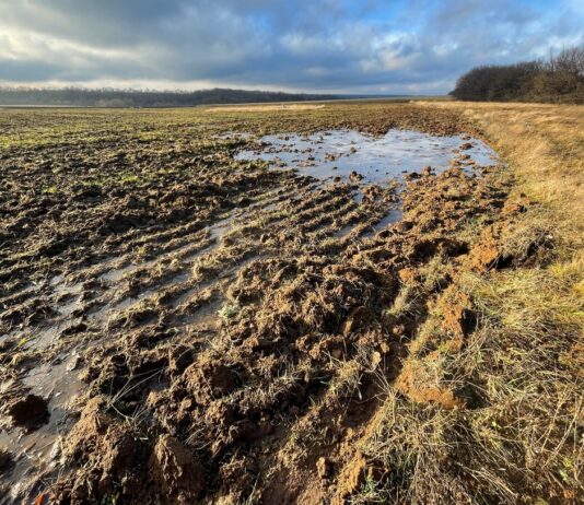 Грунты Николаевщины: природные ресурсы и их использование