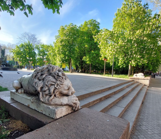 Интересные факты о николаевских каштанах