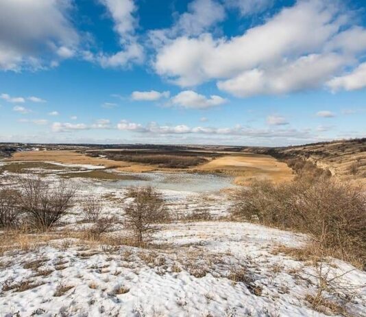 Природные чудеса Николаевщины: реки, леса, степи и их тайны