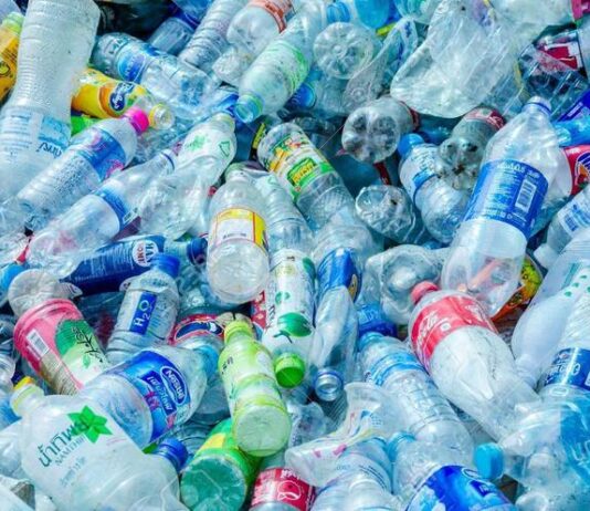 Как николаевцам уменьшить количество пластика в повседневной жизни?